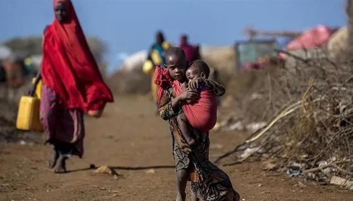 Afrika'nın en zengin 4 ismi, kıta nüfusunun yarısının servetinden fazlasına sahip