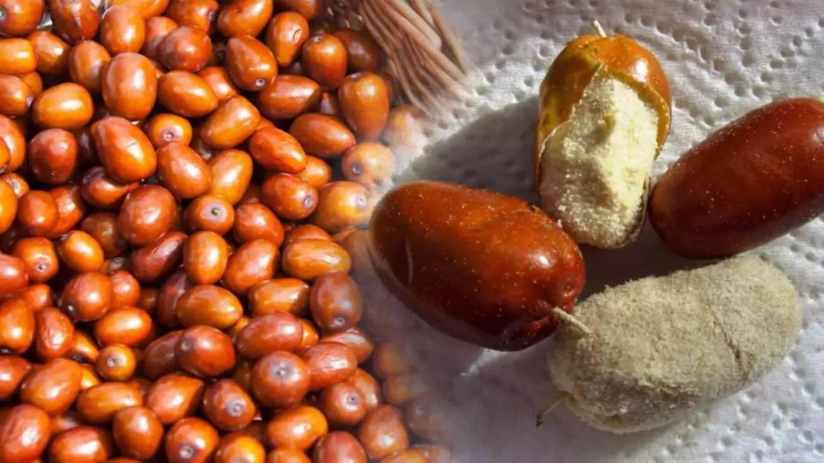 Kemik gelişimine katkı sağlar: Yabani zeytin çekirdeği tozu nedir ve ne işe yarar?  Yabani zeytin çekirdeği tozunun faydaları nelerdir?