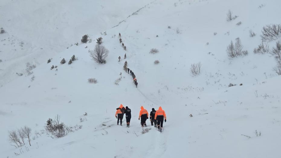 Artvin'de çığ felaketi. Kayıp çobanlardan birinin daha cansız bedeni bulundu