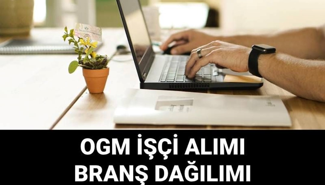 GMO Personel İşe Alım Şubesi Dağıtım 2025 | GDO işçilerinin işe alımına nasıl başvurulur, koşullar nelerdir? Silvikültür Genel Müdürlüğü 4 Bin 500 500 Geçici İşçilerin İşe Alınması Duyurusu - Torrkiye Laggio Haberleri