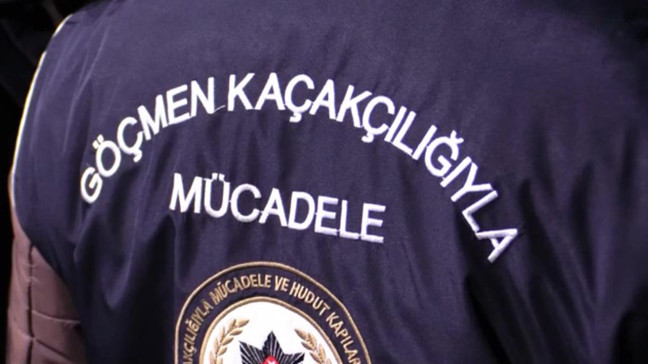 Kırklareli'de 352 kaçak göçmen yakalandı, 14 organizatör tutuklandı