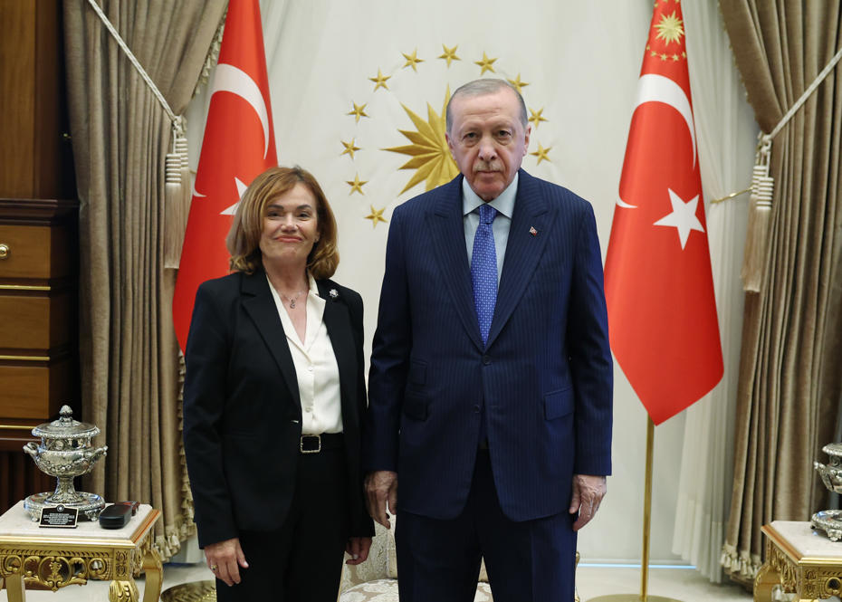 Cumhurbaşkanı Erdoğan, İspanya Anayasa Mahkemesi Başkanvekili Huertas ile bir araya geldi