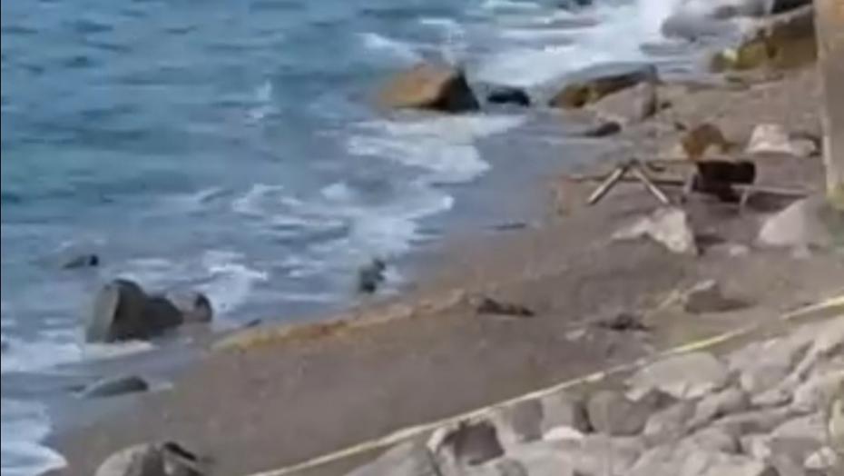 Filyos Sahili'nde Askere Ait İHA'ya Kuraş: Güvenlik Kapsamında İnceleme Başlatıldı