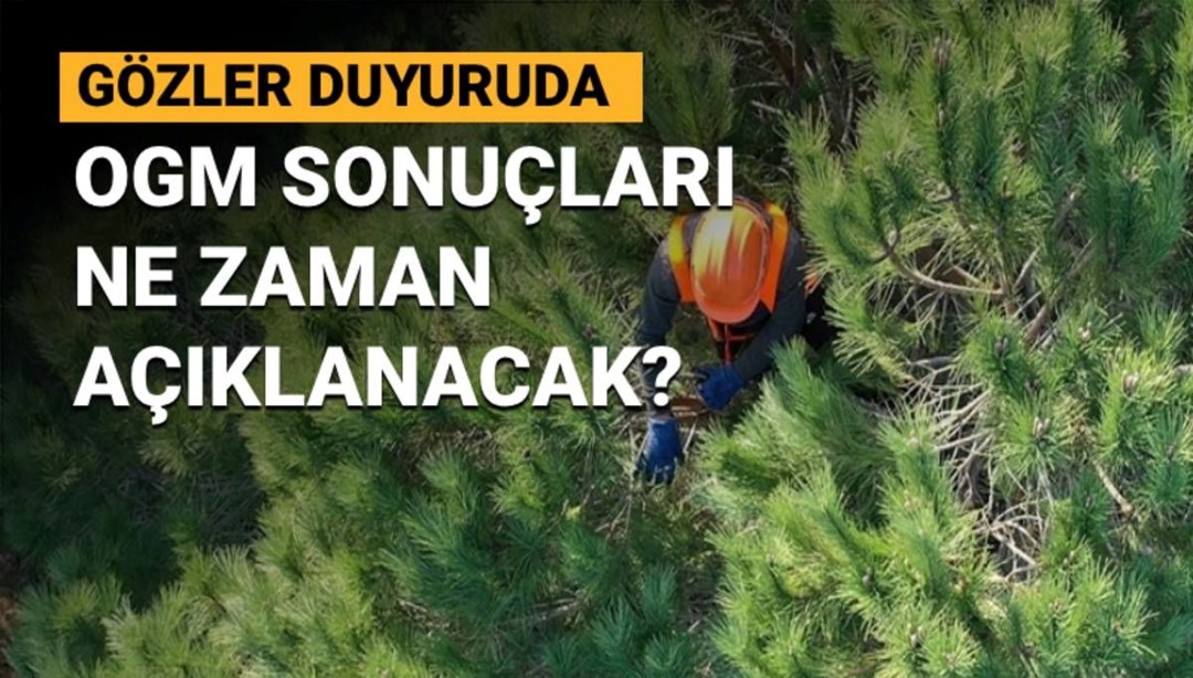 OGM personel alımında geri sayım: OGM 3 bin 477 personel alımı başvuru sonuçları ne zaman açıklanacak? - Son Dakika Türkiye Haberleri