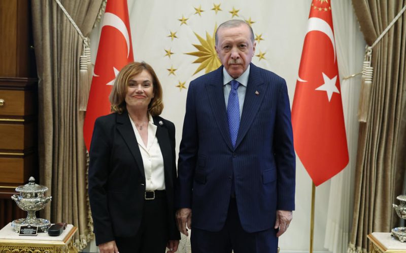 Cumhurbaşkanı Erdoğan, İspanya Anayasa Mahkemesi Başkanvekili Huertas ile bir araya geldi