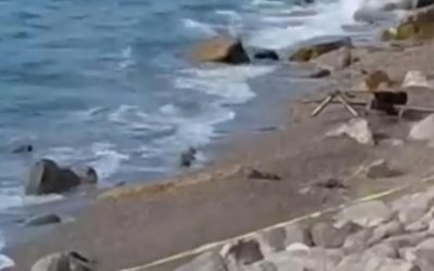 Filyos Sahili'nde Askere Ait İHA'ya Kuraş: Güvenlik Kapsamında İnceleme Başlatıldı